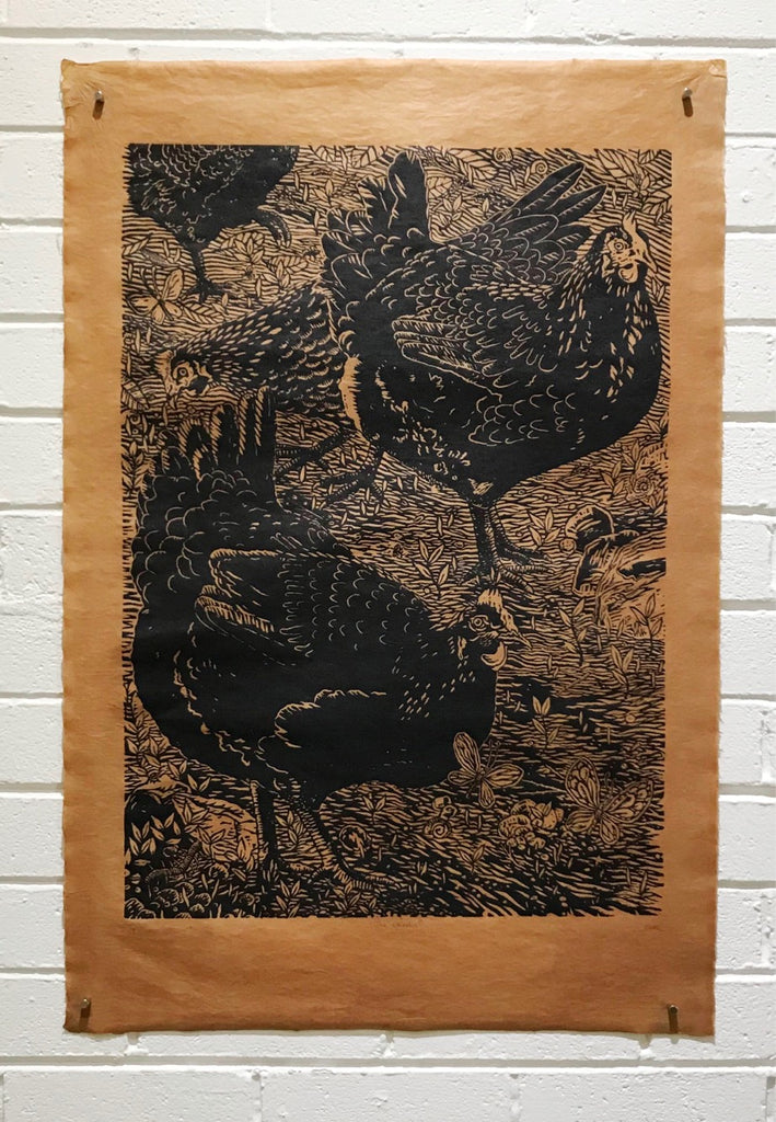 The Chooks