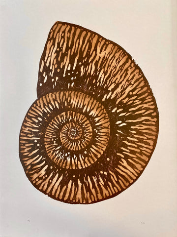 Shell